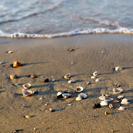 In 24391 Διαμέρισμα