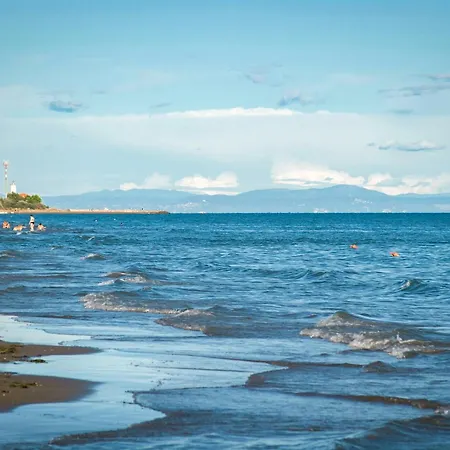 Apartamento In 24391