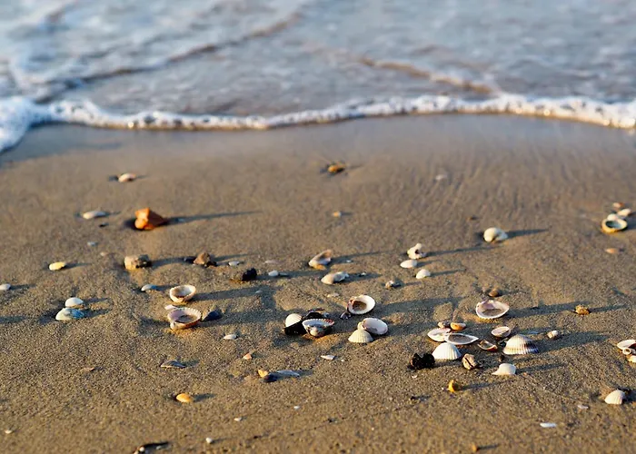 In 24391 Appartamento