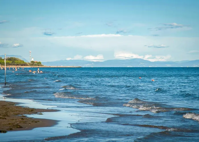 Apartamento In 24391